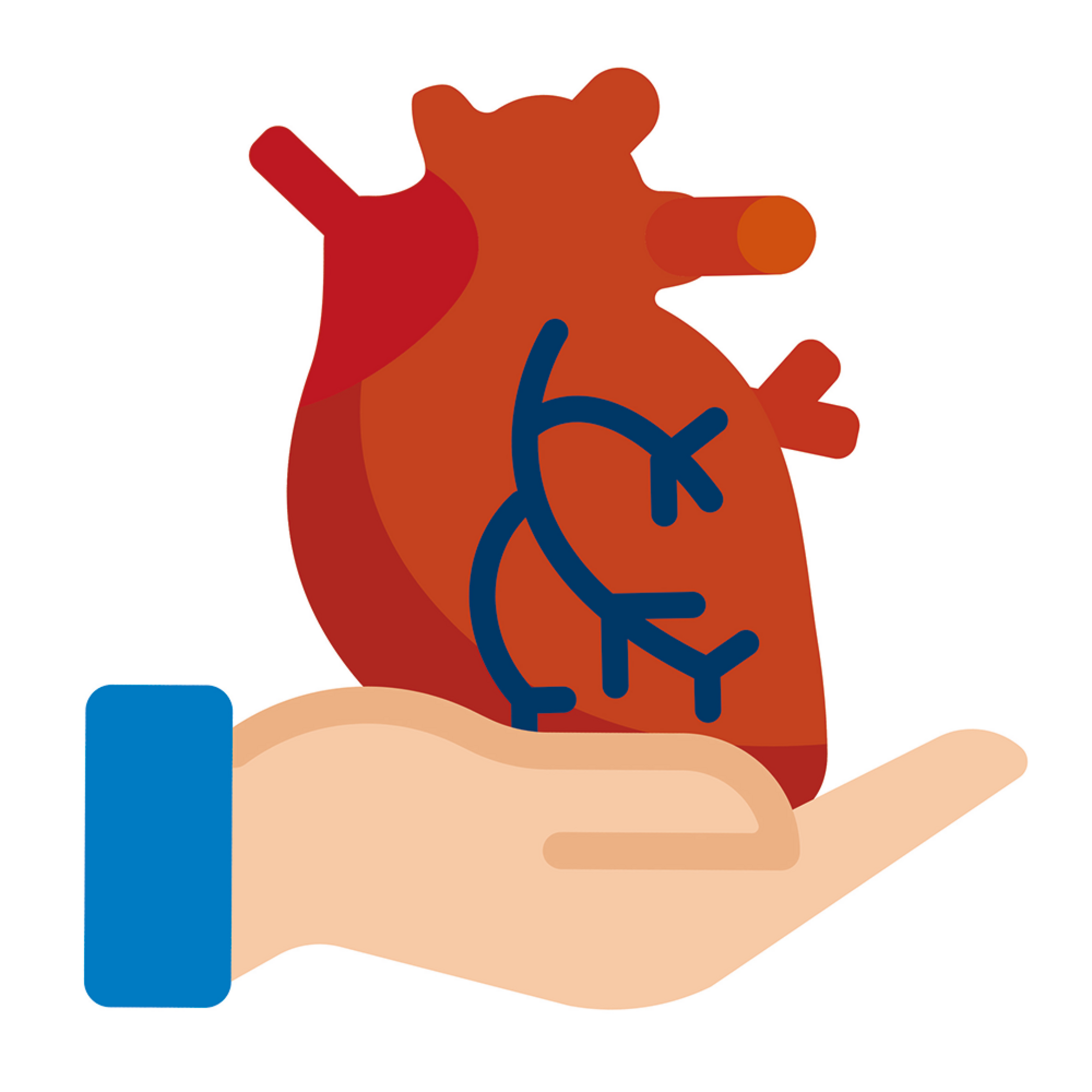 UKM Organspende | Informationen