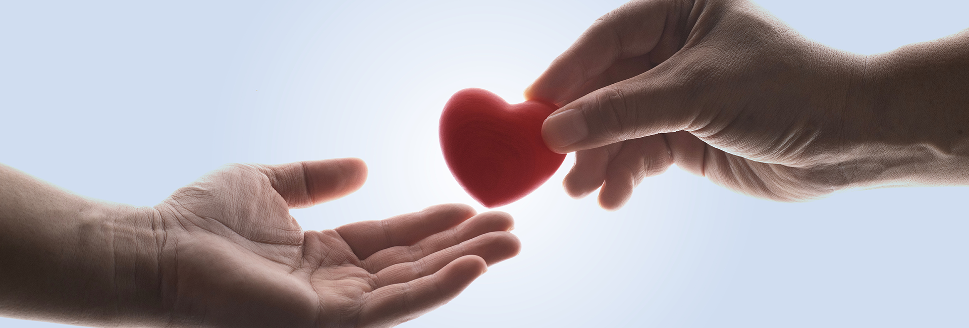 UKM Organspende | Zwei Hände, eine Hand überreicht der anderen ein rotes Herz